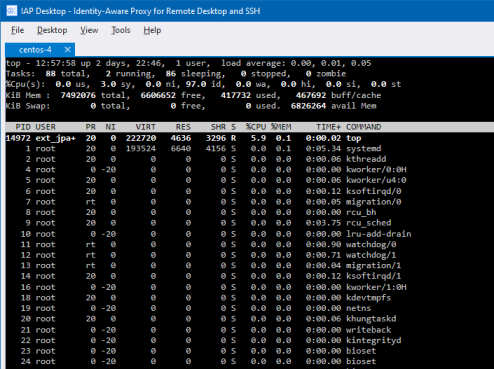 SSH Terminal