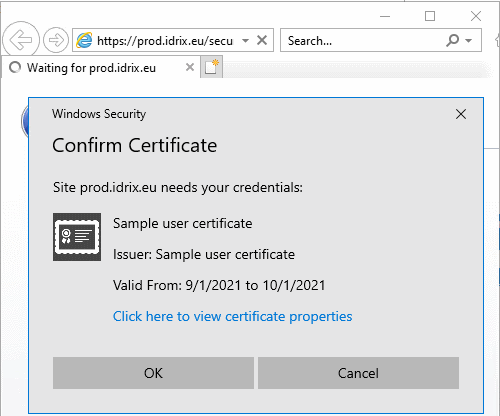 IE11 certificate dialog